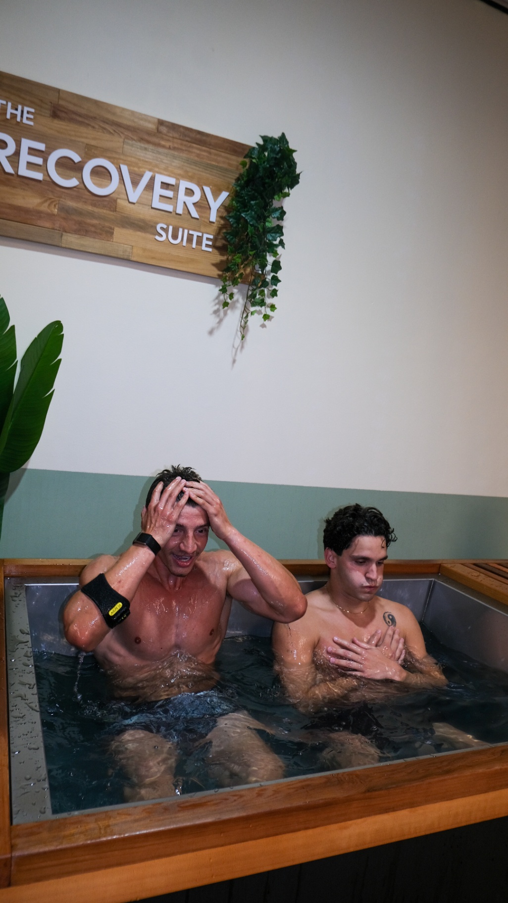 Recovery suite ice bath